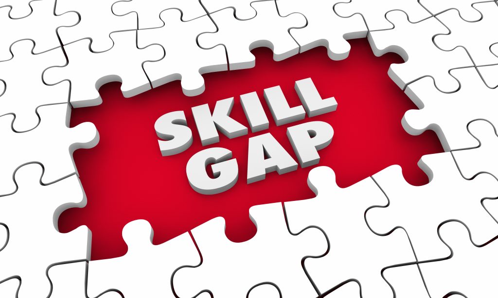 Skill Gap Graphic